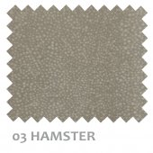 03-HAMSTER