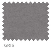03-GRIS