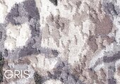 02-GRIS