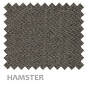 CHARLOTTE-C11-HAMSTER
