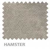 03-ERMES-HAMSTER