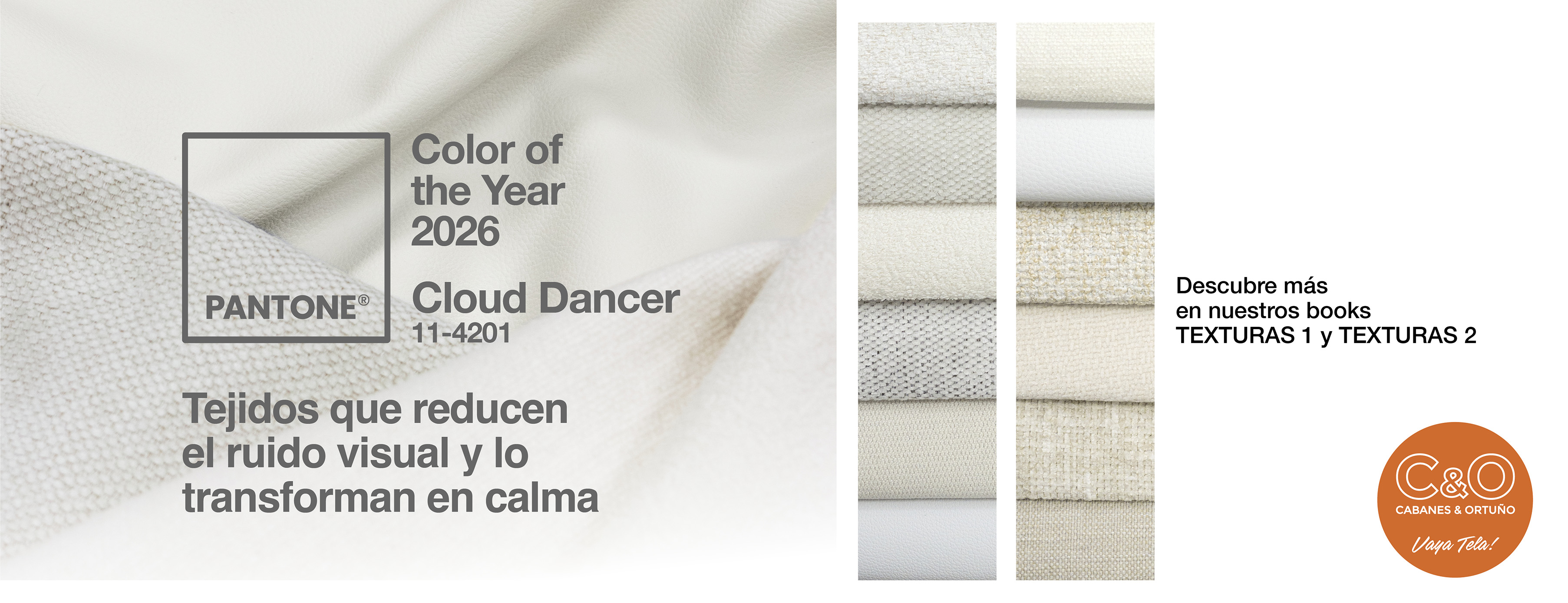 PANTONE DEL AÑO